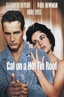 Cat on a Hot Tin Roof - Key Art