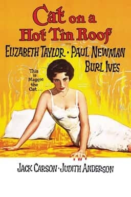 Cat on a Hot Tin Roof