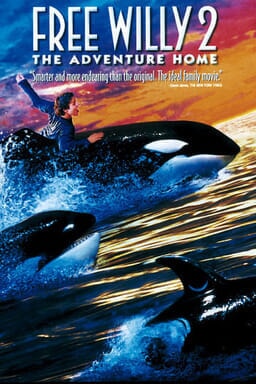 Free Willy 2 The Adventure Home