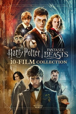 Wizarding World 10 Film Collection